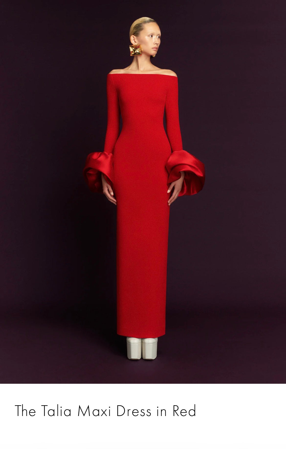 Solace London Talia Maxi Dress image 0