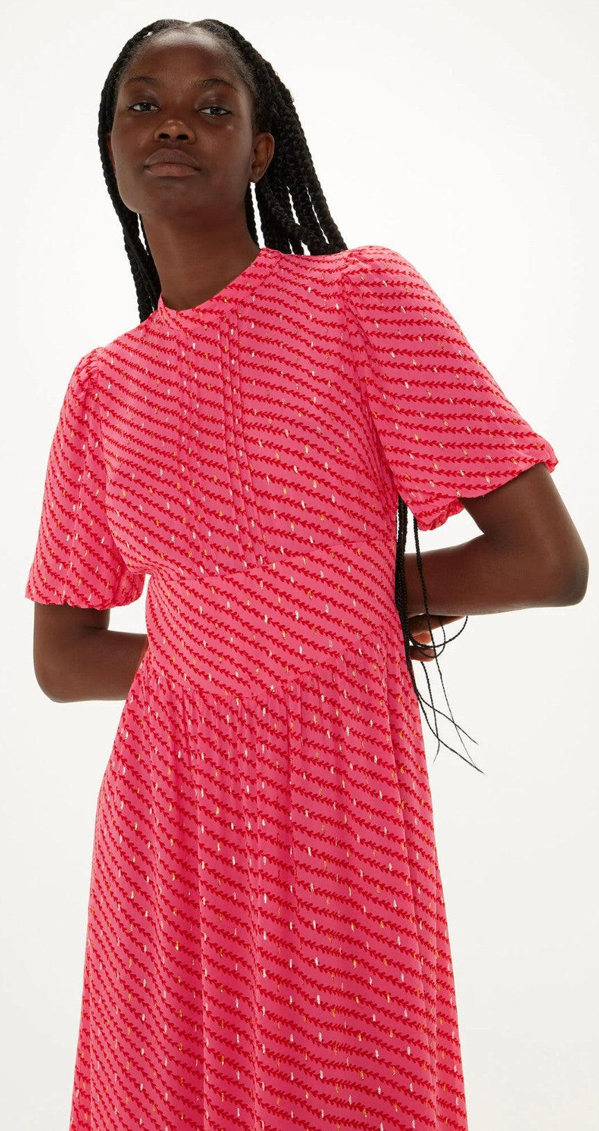 Blair Dress- Whistles image 3