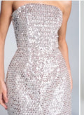 Lucia Dress- Nadine Merabi- Dress hire near me- Northern Ireland image 0
